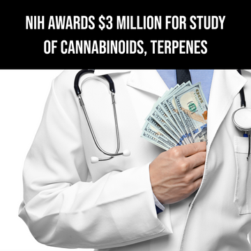 NIH Awards $3 Million for Study of Cannabinoids, Terpenes