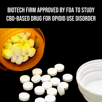 Biotech Firm Approved by FDA to Study CBD-Based Drug for Opioid Use Disorder
