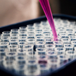 What is CBD Bio-availability and why does it matter?